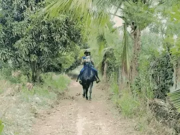 અશ્વપ્રેમી રવીન્દ્ર જાડેજાની ફાર્મહાઉસમાં ઘોડેસવારી