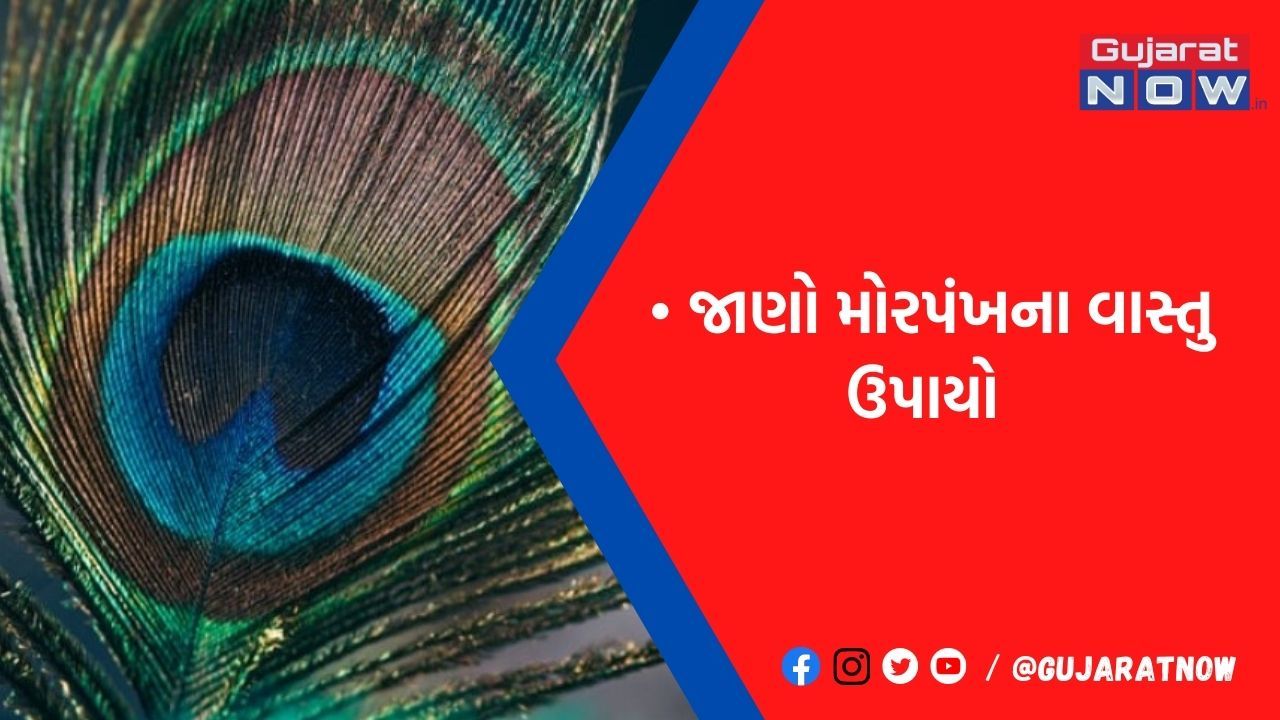 મોરપંખ સાથે જોડાયેલા આ વાસ્તુ ઉપાય કરશે નેગેટિવિટી દૂર, આર્થિક સ્થિતિમાં પણ આવશે સુધાર